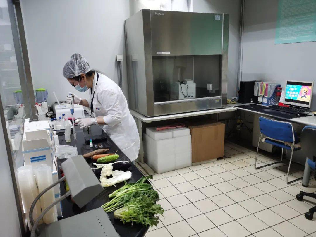 托喀依乡食品检测实验室装修方案